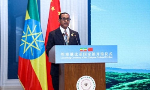 埃塞俄比亞大使點贊中國零關稅政策“為埃塞帶來廣闊機遇”（中新網）